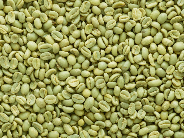 lots of bean